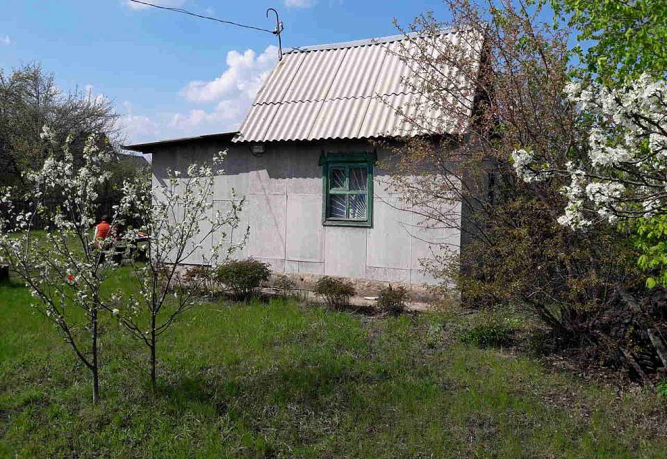 Воронежский минздрав предупредил дачников о рисках геморрагической лихорадки