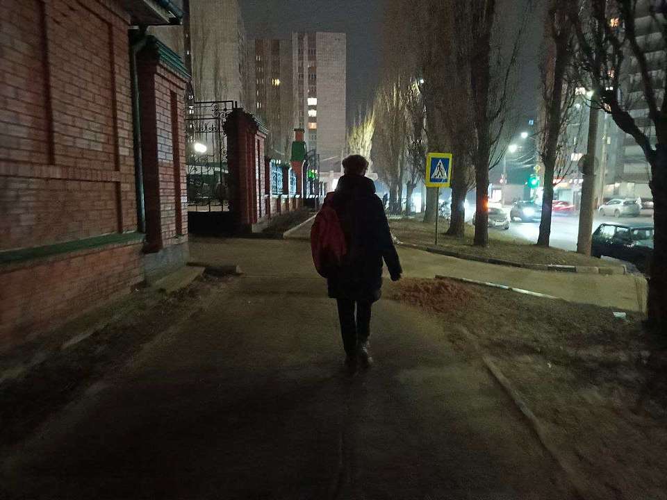 В терроризме и подготовке к убийству в школе заподозрили воронежского подростка