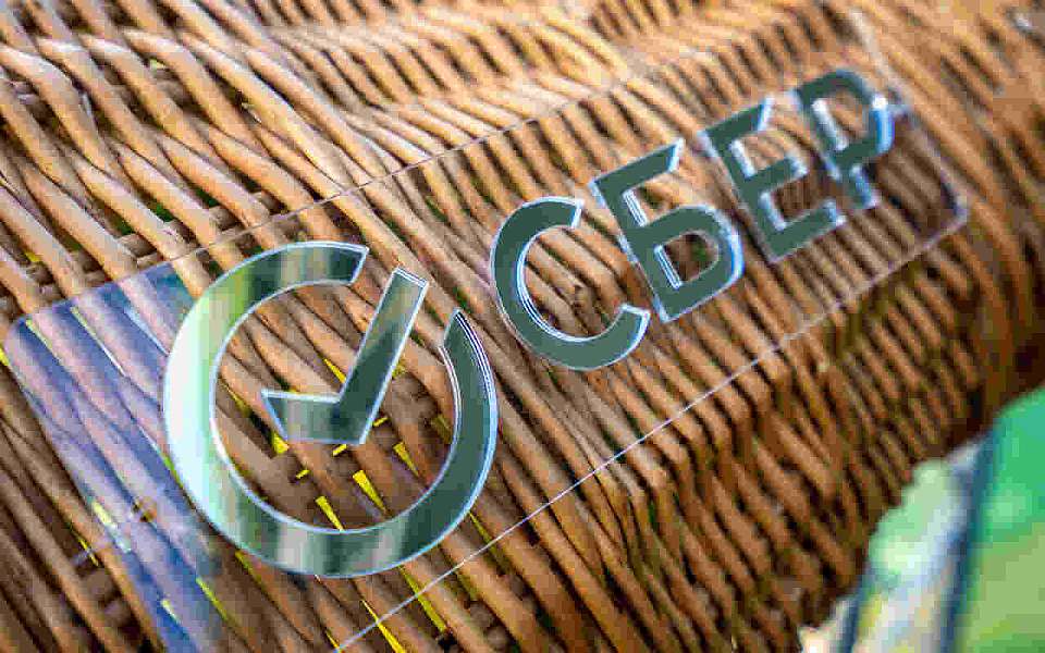 Десять лет со СберВместе: более 2 млрд рублей пожертвовали россияне через подписку на добро