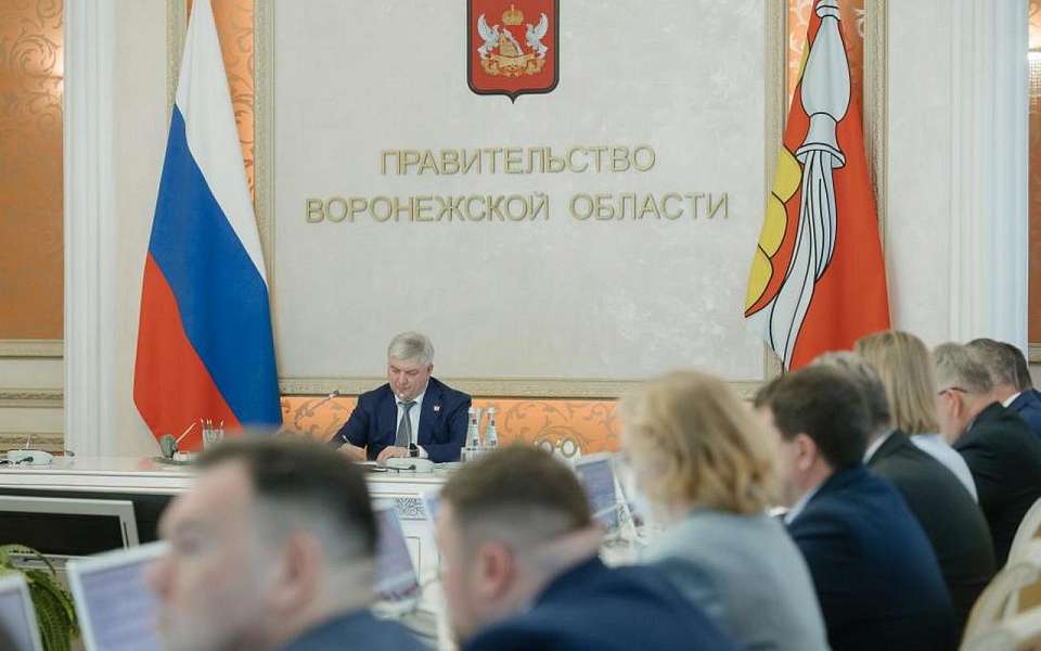 Программу мероприятий ко Дню Победы представили воронежскому губернатору