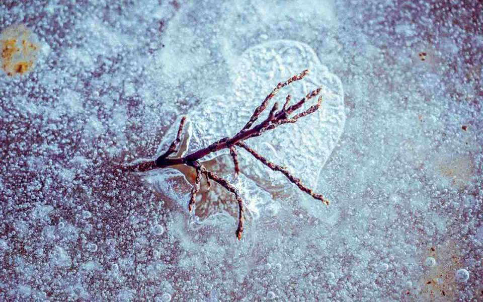 До -11 градусов похолодает в длинные мартовские выходные в Воронежской области