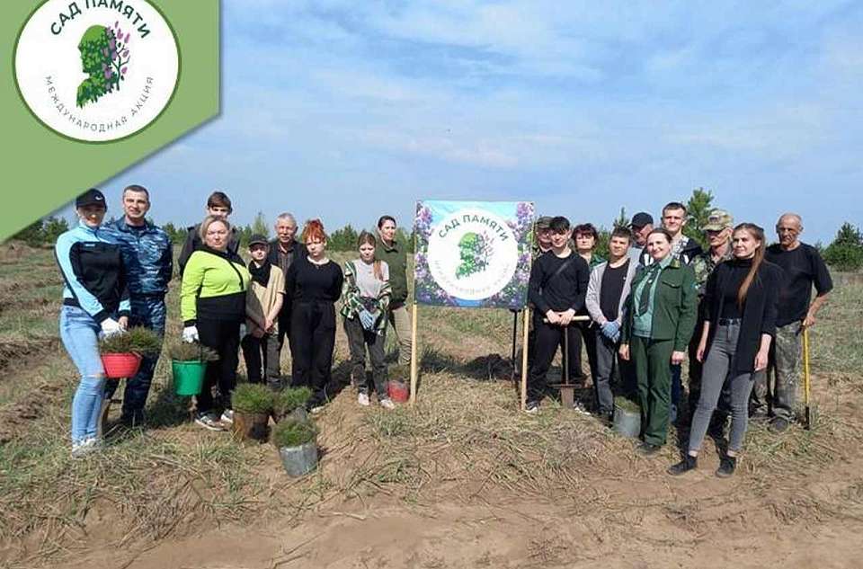 В память о погибших в Великой Отечественной посадили 4,7 тыс. сеянцев в воронежских лесничествах