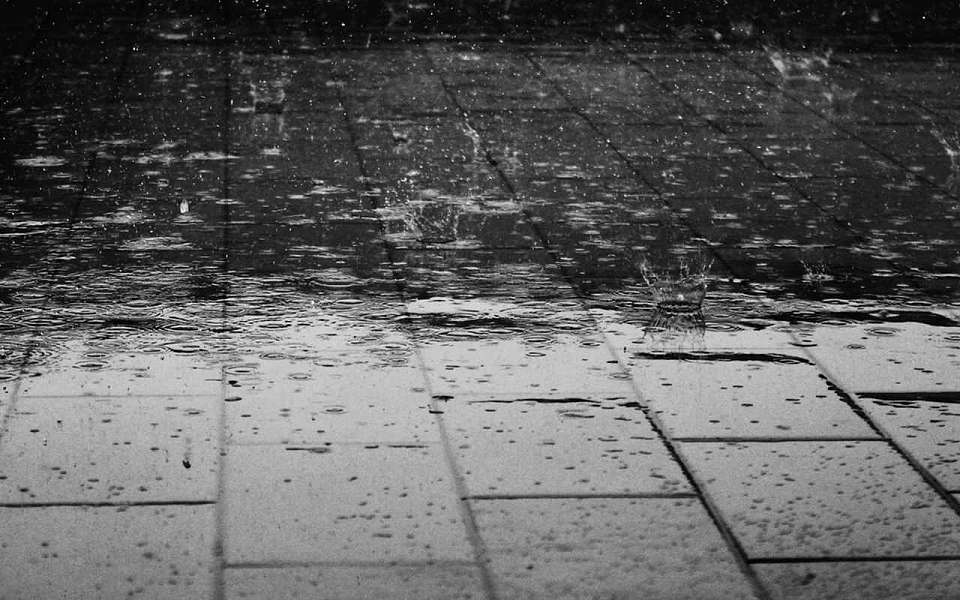 Постоянные дожди продержатся до 14 ноября в Воронежской области