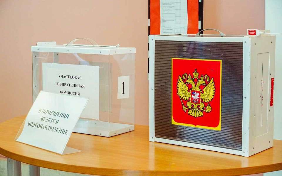 Одно место в Государственной думе потеряла Воронежская область