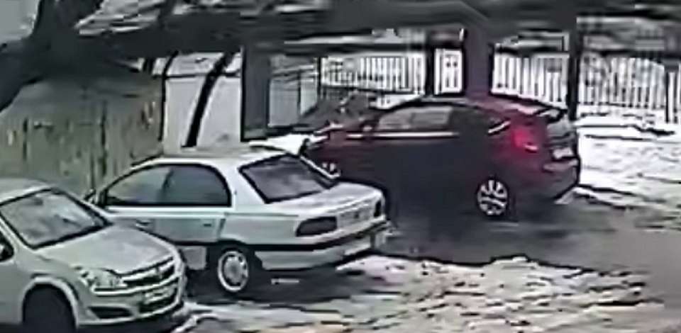 Выяснилось состояние женщины, на которую упало в Воронеже дерево