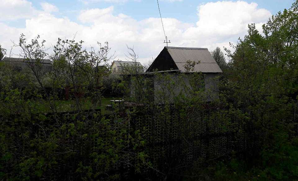 В Воронежской области утверждён список из 7 опасных растений, подлежащих уничтожению