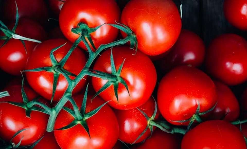 Овощи подорожали, но подешевела водка в Воронежской области