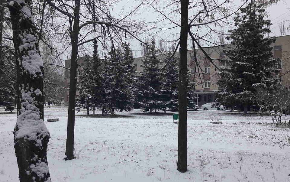 Воронежцам представили прогноз погоды на 4 января