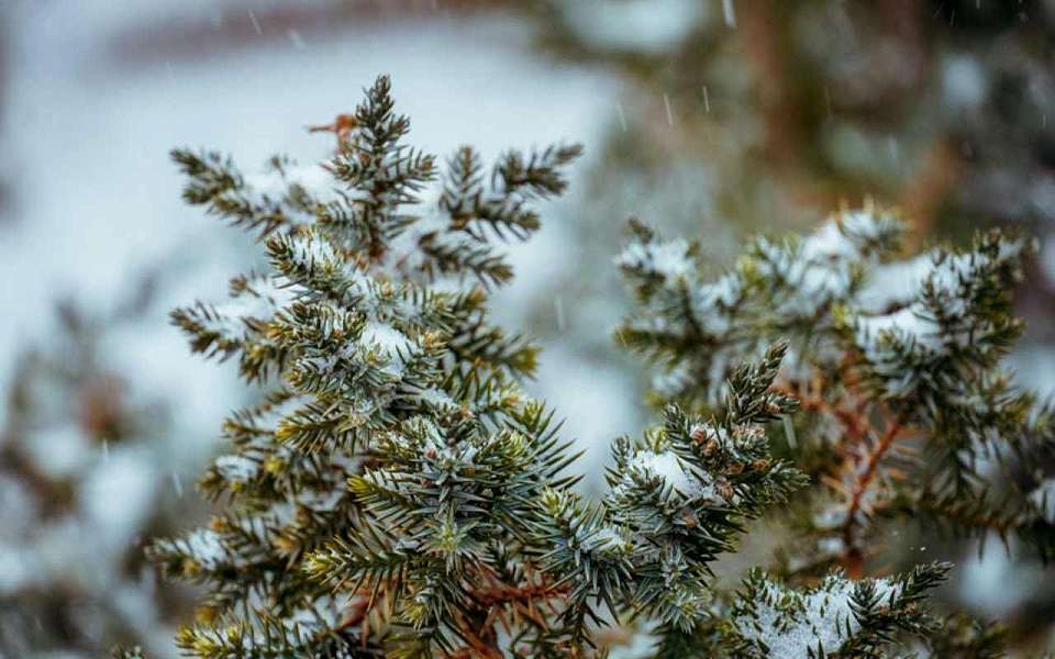 Какой будет погода во вторник, 18 марта, рассказали воронежские синоптики
