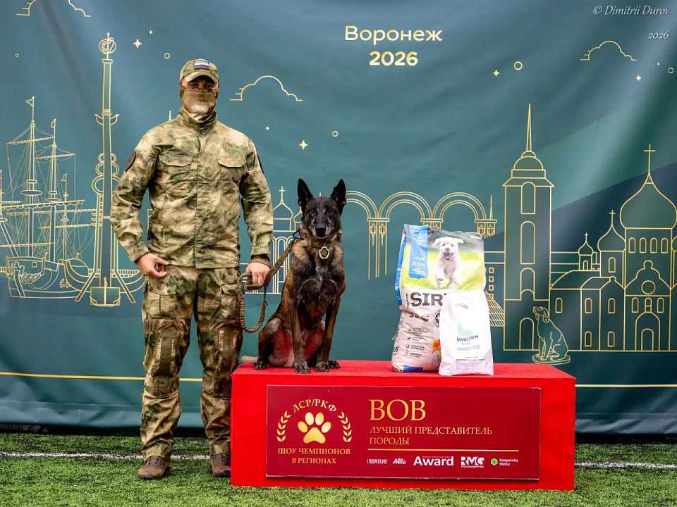 Выставка «Лучшие собаки России / РКФ. Шоу чемпионов» прошла в Воронеже