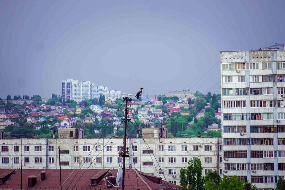 В Воронежской области объявлен жёлтый уровень погодной опасности