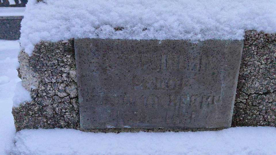 Состояние захоронений в парке «‎Орлёнок» в Воронеже оценят специалисты