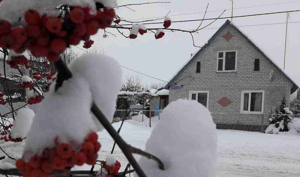Среди регионов, где подешевели дома, оказалась Воронежская область