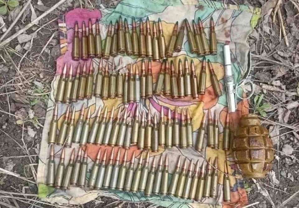 Схрон с патронами у собачьей будки нашли воронежские полицейские