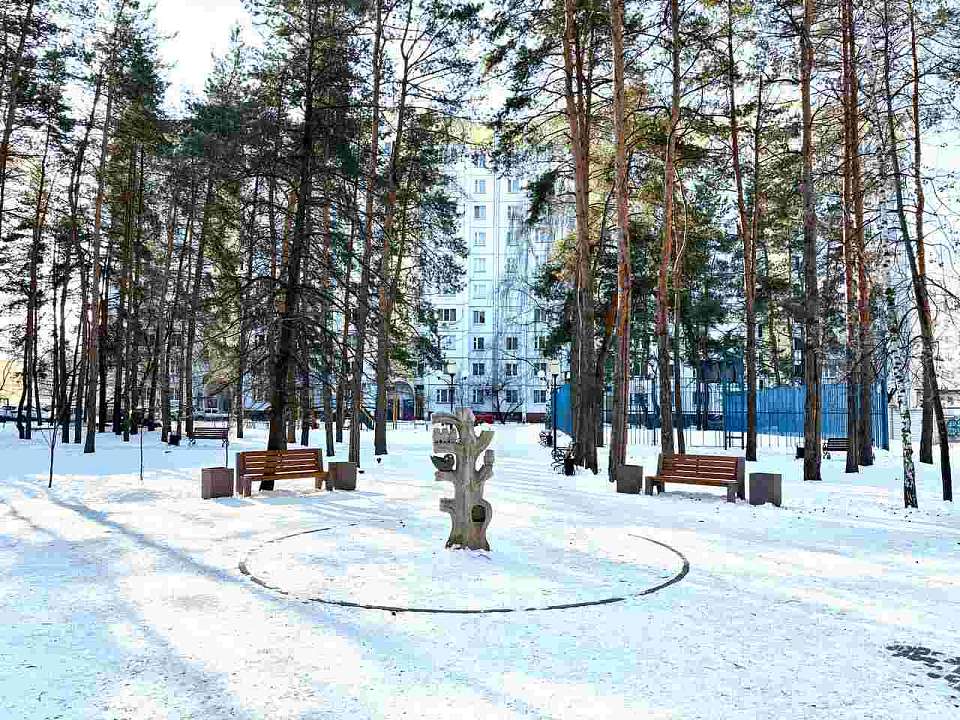 Руководитель управы Александр Бахтин встретился с жителями микрорайона «Электроника»