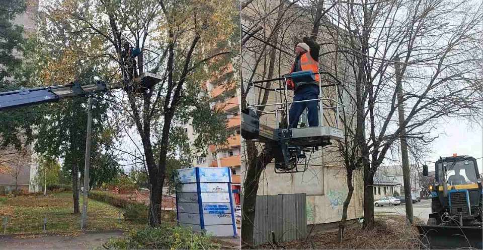 На территории Железнодорожного района продолжают заботиться о зелёных насаждениях