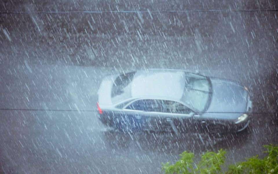 Дождливая погода вернется в середине июня в Воронежскую область