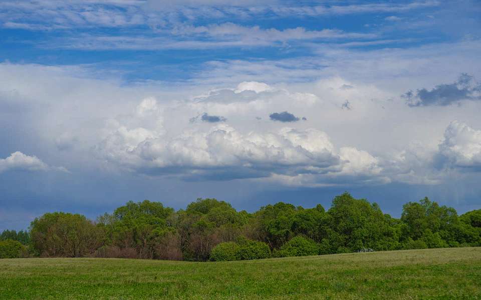 Порывистый ветер и +27 градусов тепла ожидаются 26 апреля в Воронежской области