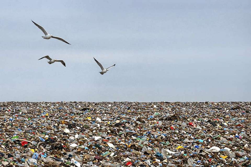 В список проблемных регоператоров вошла воронежская «Вега»