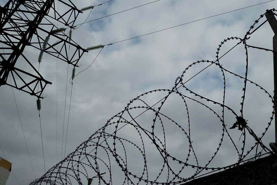 На какие преступления подростки чаще всего идут в Воронежской области