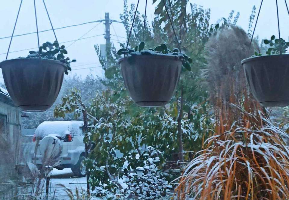 Стало известно, когда в Воронежской области выпадет первый снег