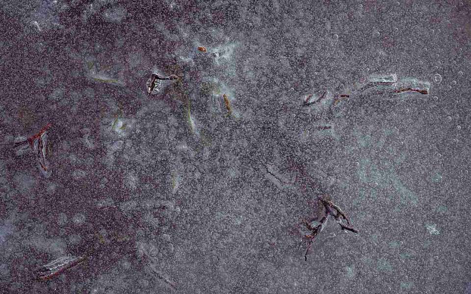 Опасная погода 19 и 20 марта придет в Воронежскую область