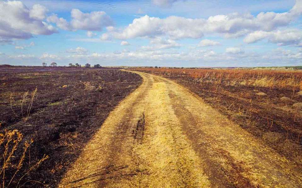 Продолжительность жизни снизилась в Воронежской области