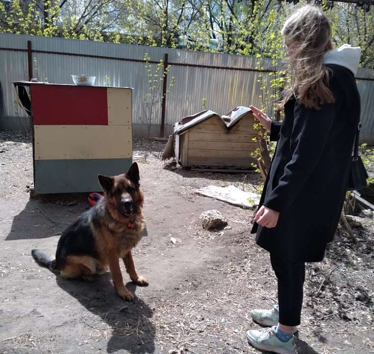 В Коминтерновском районе Воронежа проходит весенняя неделя добра