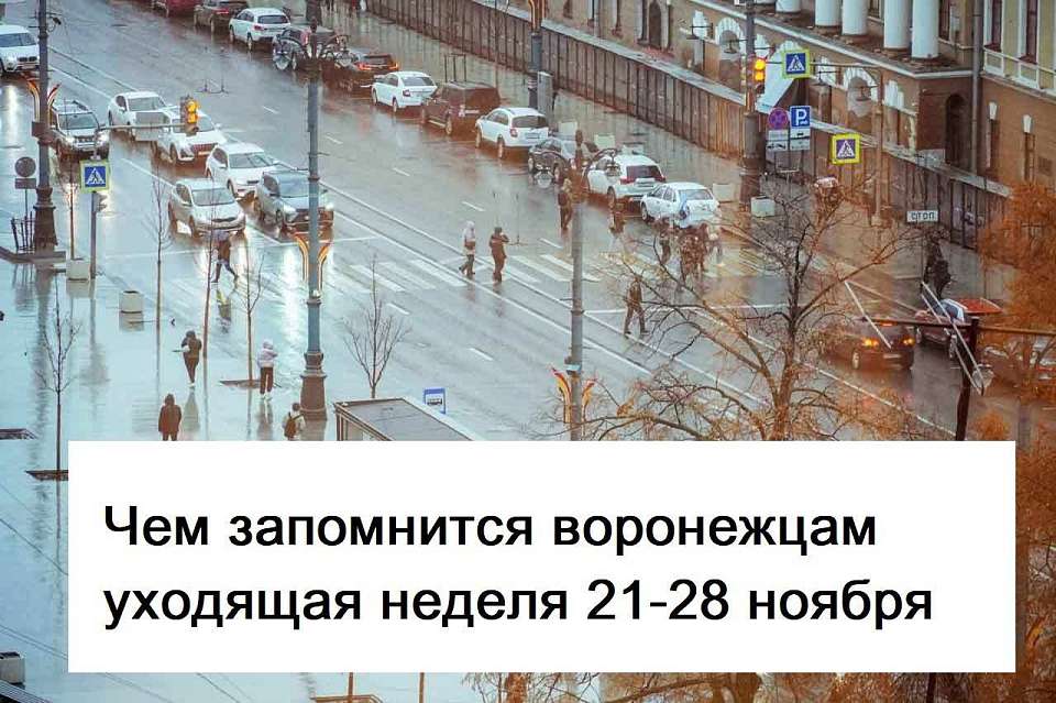 Чем запомнилась в Воронеже неделя с 21 по 28 ноября