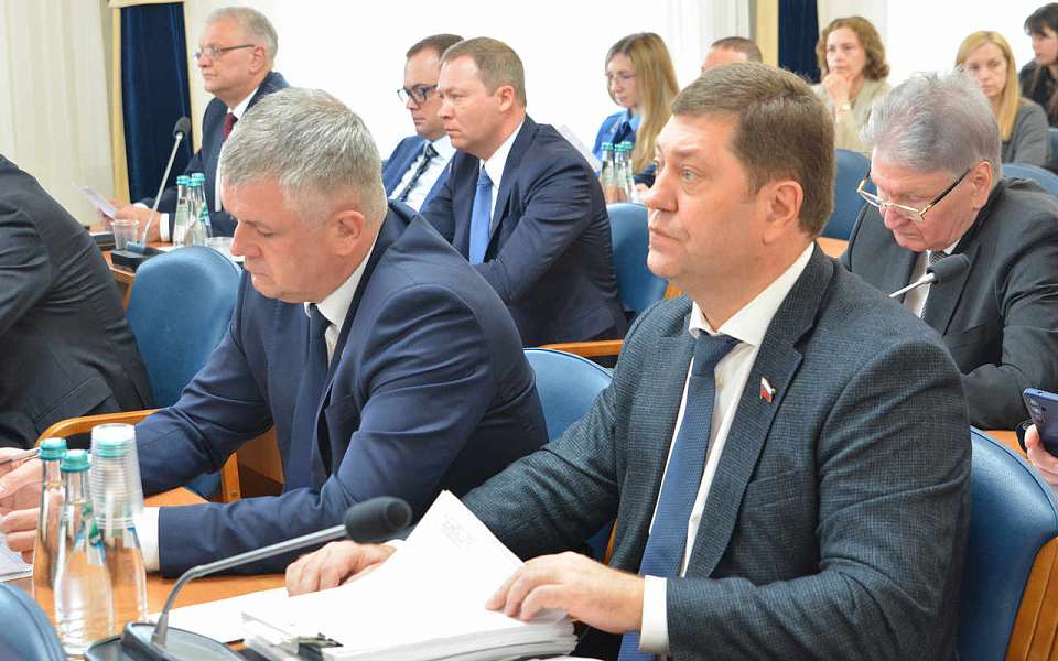 Корректировку Генплана провели депутаты гордумы Воронежа