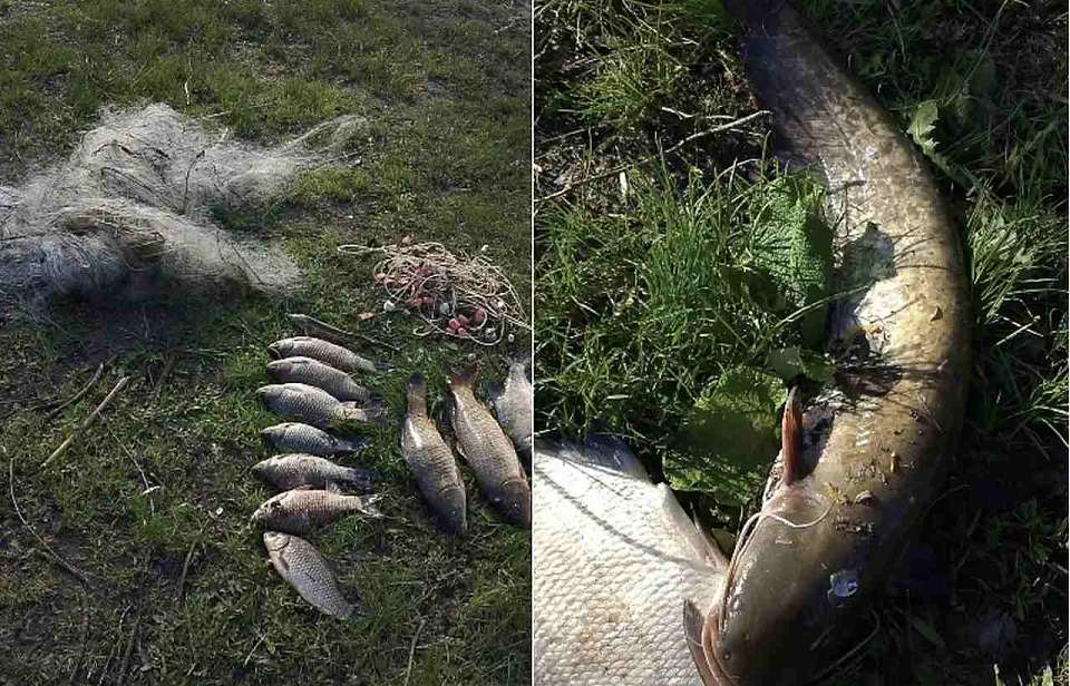 За незаконную ловлю рыбы житель Воронежской области попал под уголовную статью