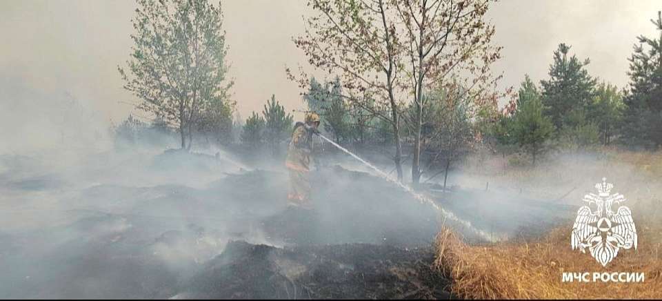 Локализовали ещё один ландшафтный пожар в районе Семилукских выселок в Воронеже