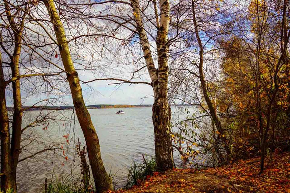 В Воронежской области в понедельник, 3 ноября, будет тепло и сухо