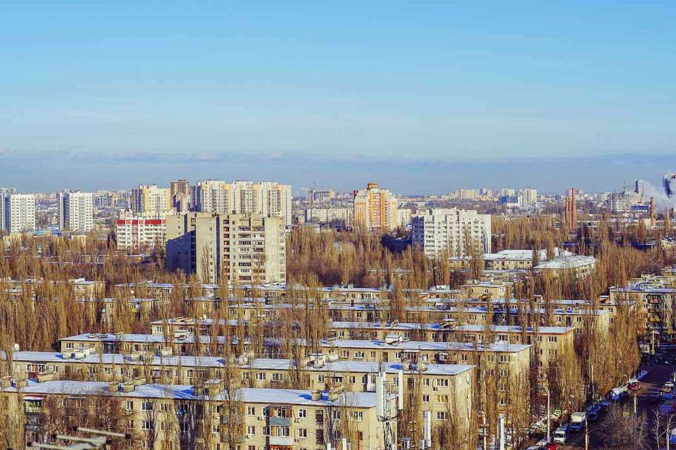 Без снега встретят воронежцы первый день зимы