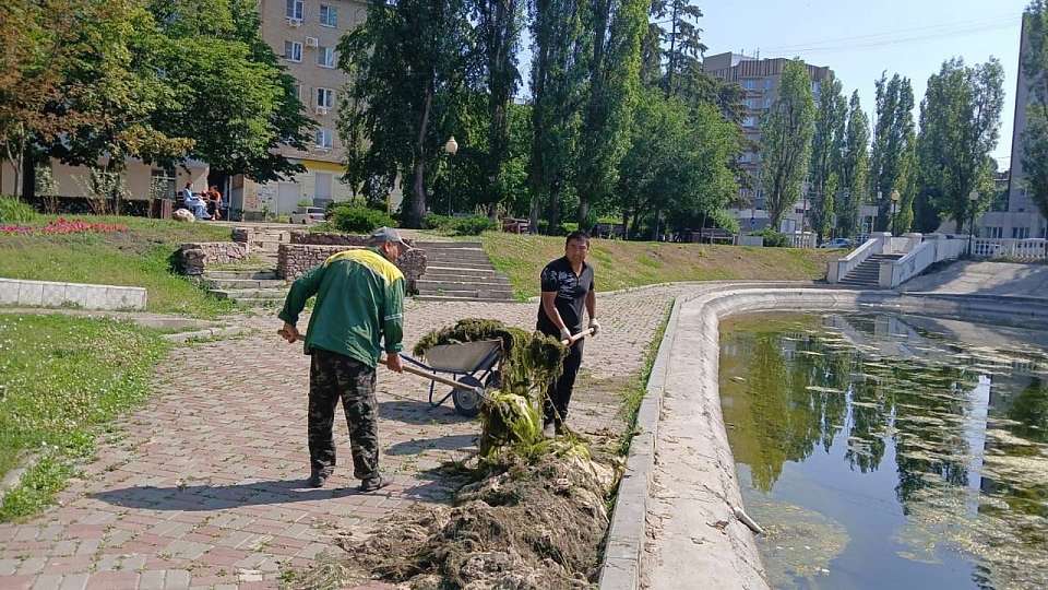 В Воронеже расчистили искусственное озеро на Минской