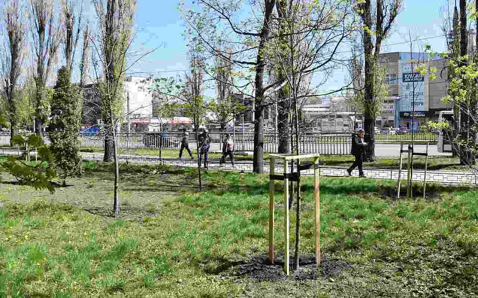 В Железнодорожном районе продолжается озеленение