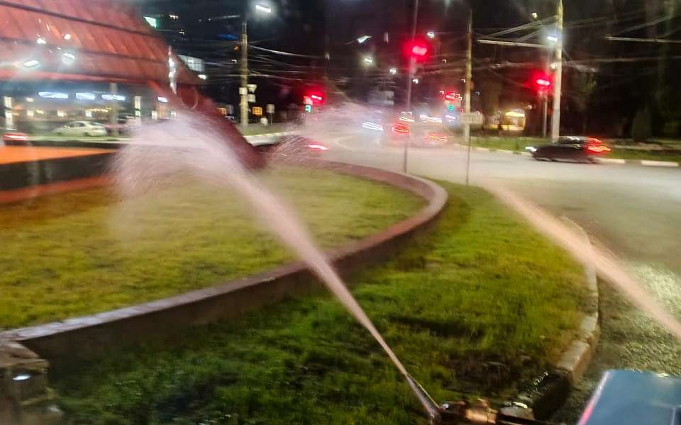 В Коминтерновском районе ведут уход за зелеными насаждениями