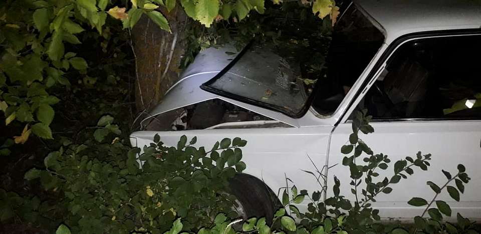 В Воронежской области в ДТП после столкновения с деревом погиб пенсионер на ВАЗе