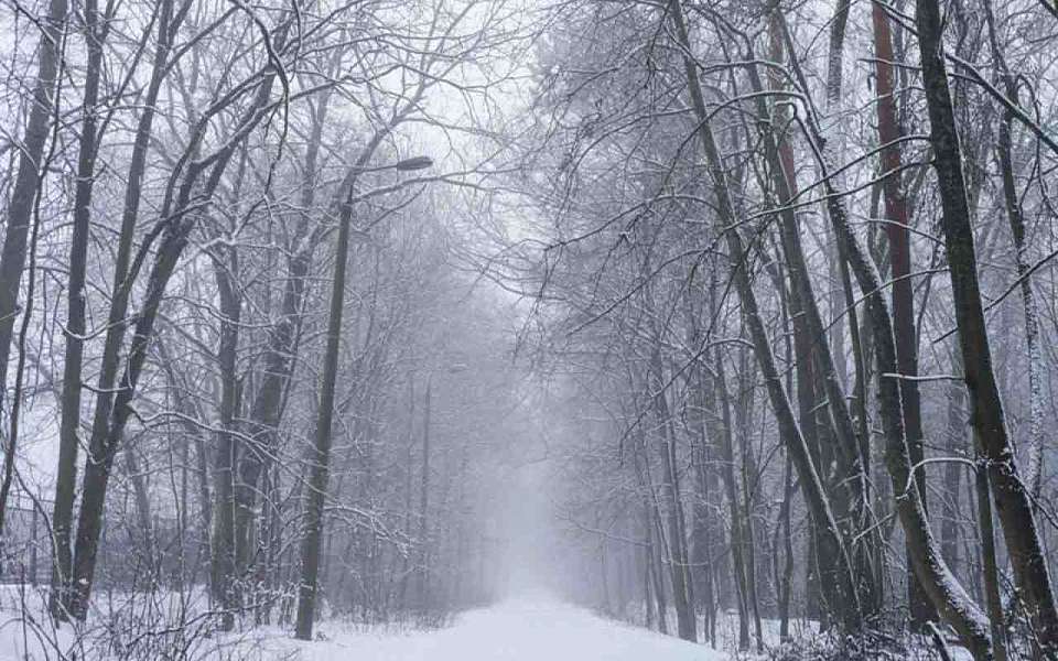 Более 20 человек пропали в Воронежской области  