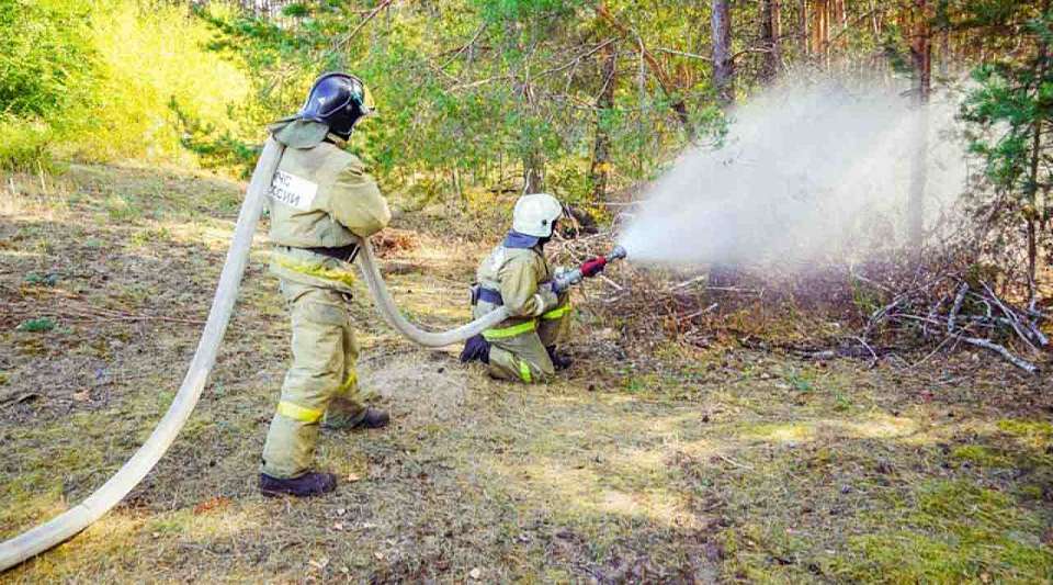 До 13 увеличилось число районов Воронежской области с максимальной пожароопасностью