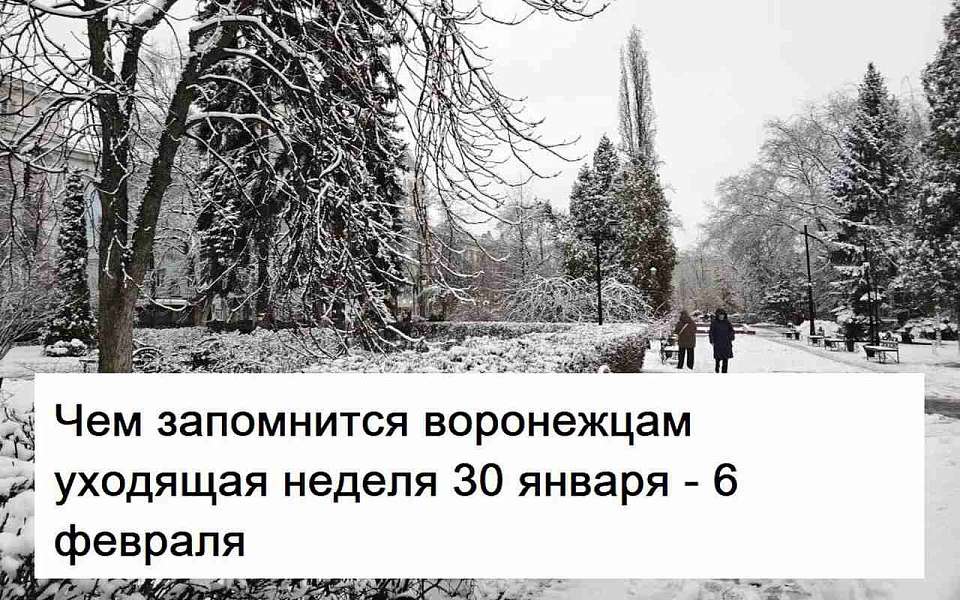 Чем запомнилась в Воронеже неделя с 30 января по 6 февраля