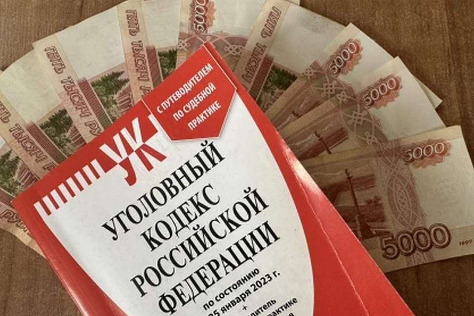 За полгода было возбуждено 144 уголовных дела о коррупции в Воронежской области