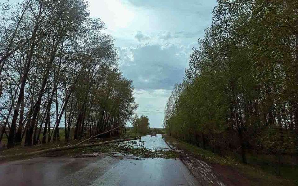О порывистом ветре и холодной погоде 13 октября предупредили воронежцев в Гидрометцентре
