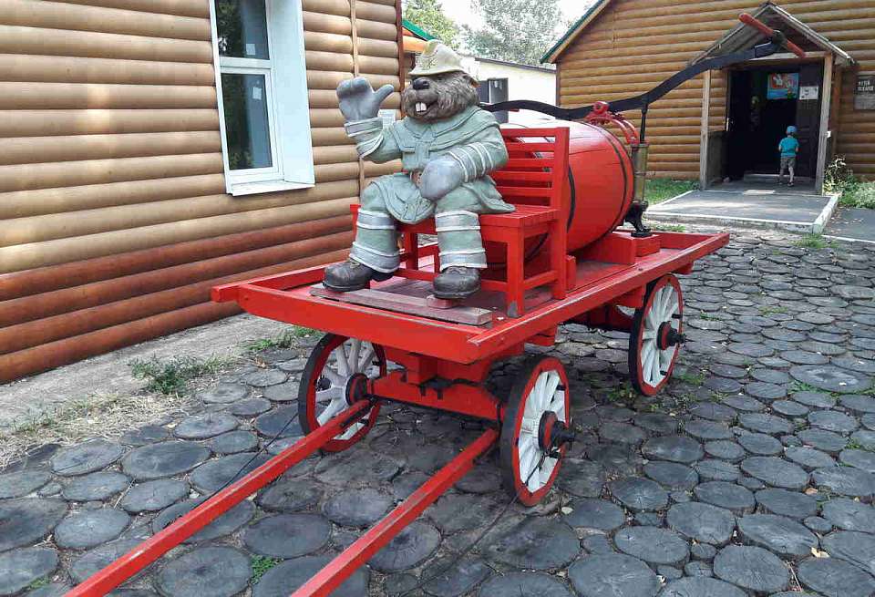 Пожарные учения пройдут под Воронежем 19 марта