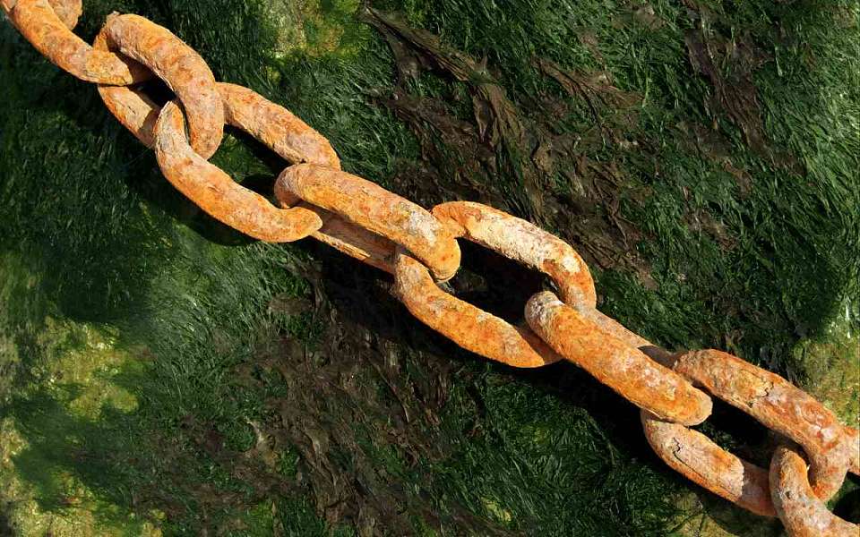 СКР начал проверку сообщения о рабском труде на ферме в Воронежской области