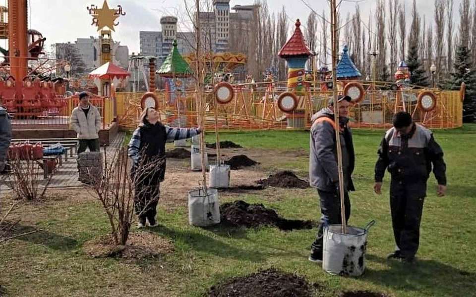 В воронежском парке Победы высадили 20 новых деревьев