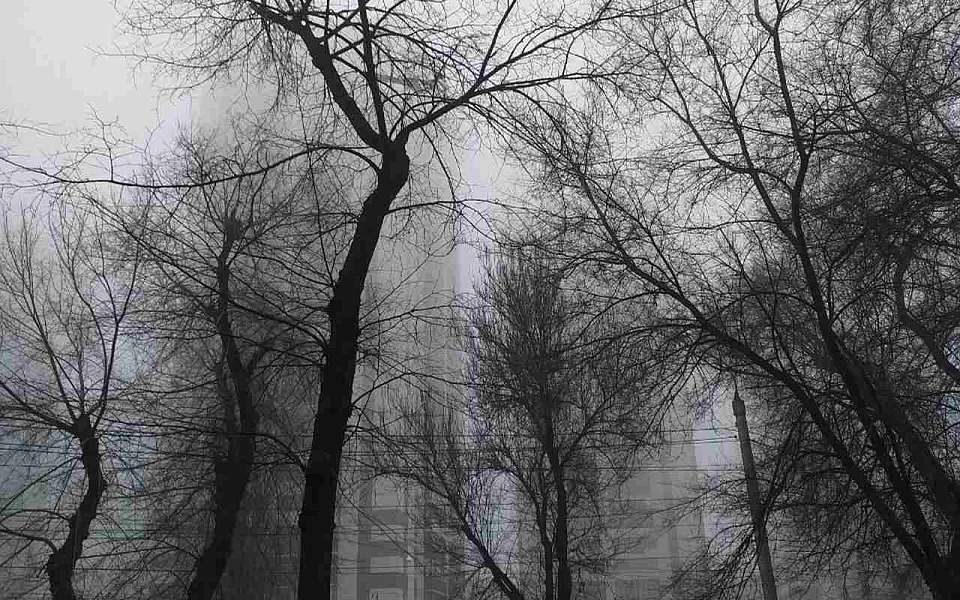 Туман и гололед спрогнозировали на 3 декабря воронежские синоптики