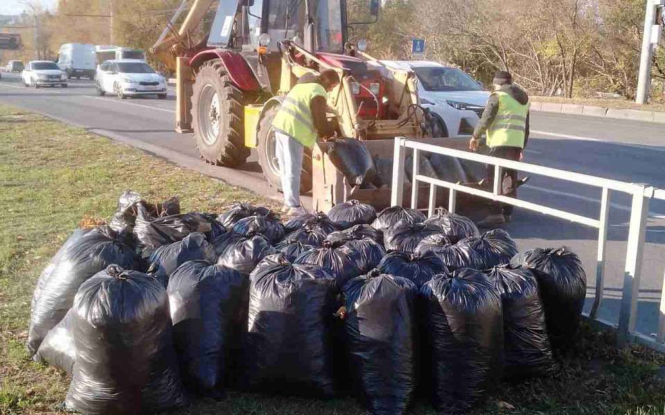 В Левобережном районе завершился месячник благоустройства 