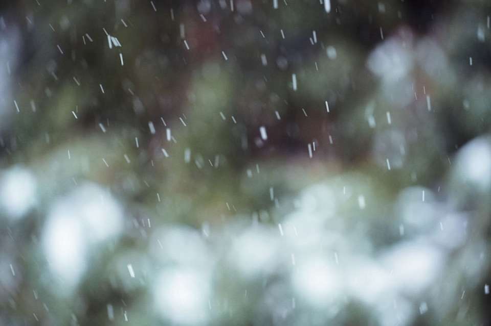 Снегопад прошел в Воронежской области