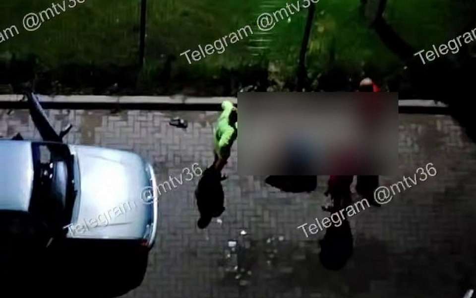 Подробности дела об избиении девушки в Семилуках рассказали воронежцам